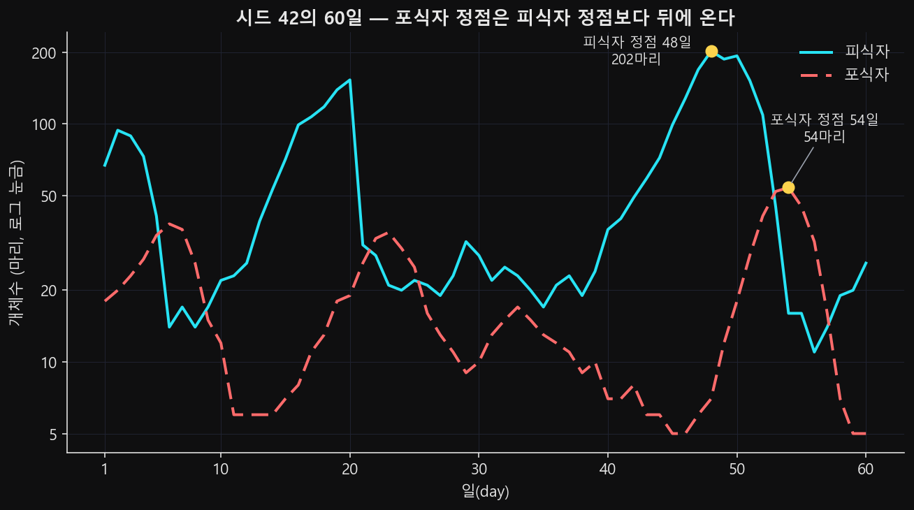 시드 42의 60일 피식자·포식자 개체수를 로그 눈금 세로축에 겹쳐 그린 선 그래프. 실선이 피식자, 점선이 포식자이고 피식자 정점 48일 202마리와 포식자 정점 54일 54마리에 각각 점과 설명이 붙어 있다