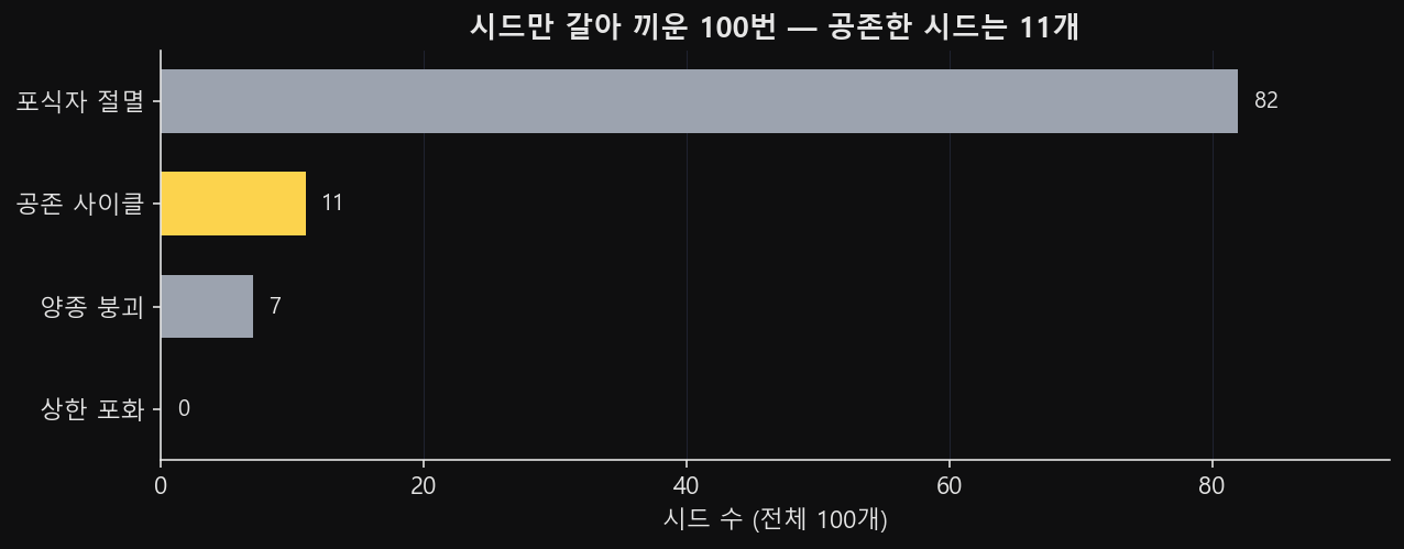 시드 1~100 스윕 결과를 가로 막대 넷으로 나눈 그림. 위에서부터 포식자 절멸 82, 공존 사이클 11, 양종 붕괴 7, 상한 포화 0이고 공존 사이클 막대만 강조색이다